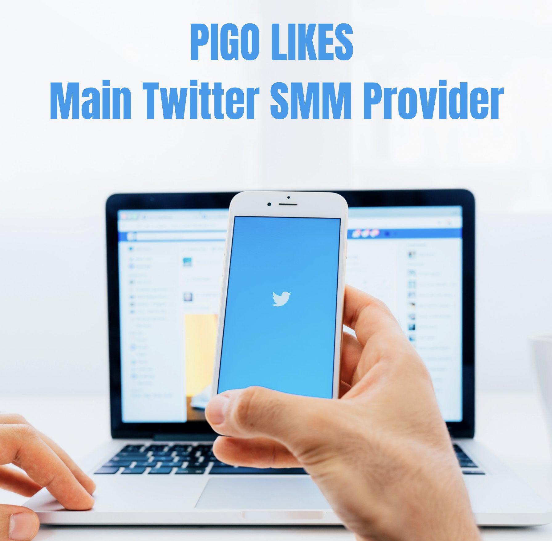 Main Twitter SMM Provider - Low-Cost Service